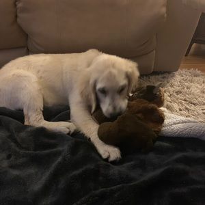 Meet your Posher, Janice